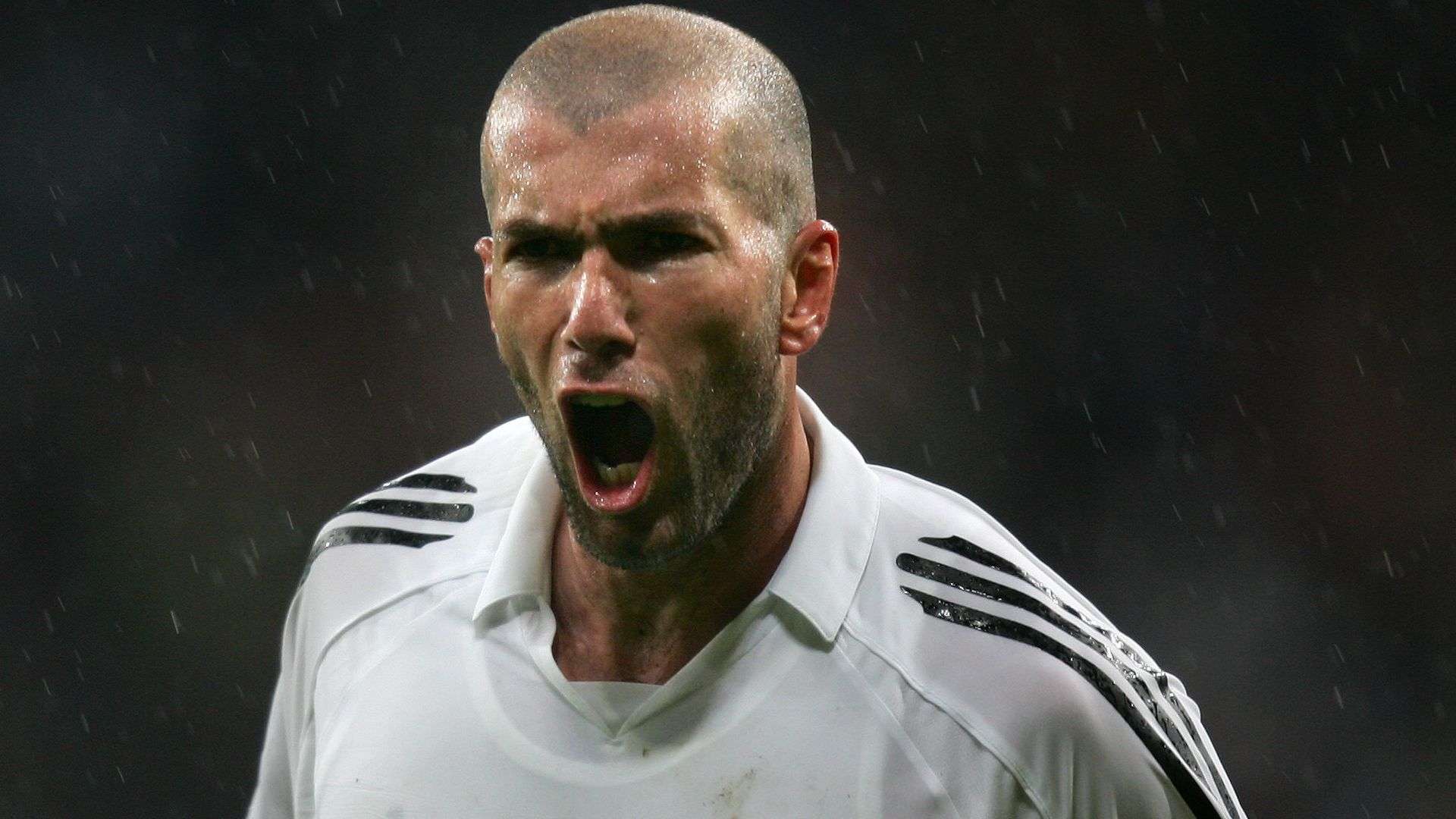 队创造了新 队创造了新