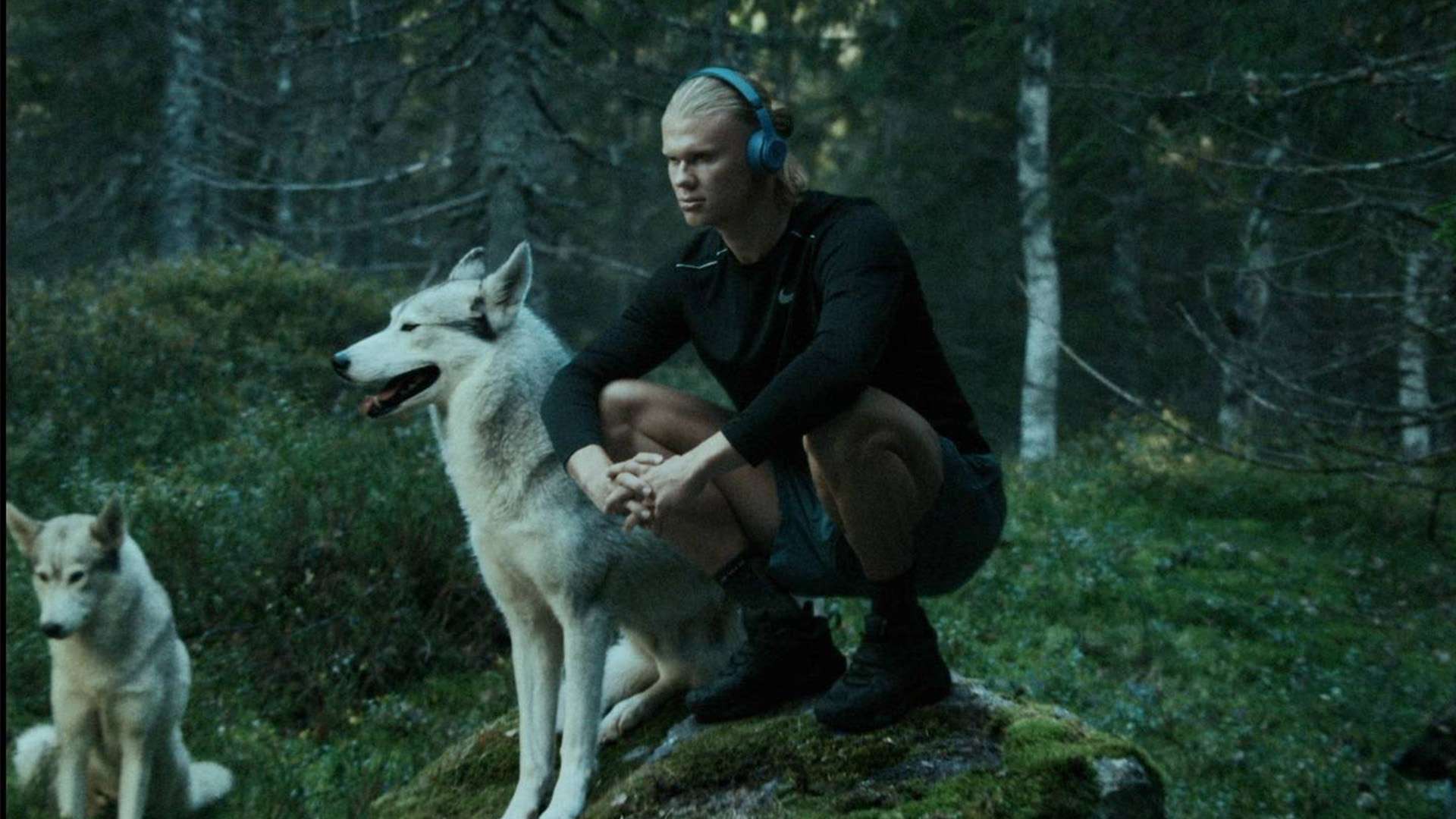 与此同时 与此同时